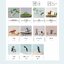 (Pre-order) หนังสือถักตุ๊กตาโครเชต์สัตว์น่ารักจากไหมปัก
