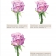 หนังสือสอนระบายสีน้ำธีมภาพธรรมชาติ (Pre-order)