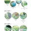 (Pre-order) หนังสือสอนระบายสีน้ำภาพ Landscape "Outside the Window"