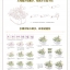 (Pre-order) หนังสือสอนวาดภาพระบายสีน้ำภาพวิวทิวทัศน์ Streetscape