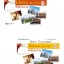 New Concept Chinese Flashcards 2 (2A+2B) 新概念汉语教学图卡2(套装共2册)
