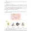 แบบเรียนการอ่านภาษาจีนใหม่เล่ม 1+MP3 新实用汉语课本（第3版）（英文注释）课本1（含1MP3）New Practical Chinese Reader (3rd Edition) (English Annotation) Textbook 1 (including 1MP3)
