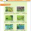 แบบฝึกหัด Chinese Now! Grade 2 (Workbook) 小学中文·二年级（练习册）Chinese Now! Grade 2 (Workbook)