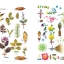 (พรีออเดอร์-Clearance Sale) หนังสือสอนระบายสีน้ำ "Mori Girl's Art Life" Water Color : Light Leisure Time