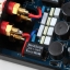 MUSE M15 EX2 TA2024 T-Amp Mini Stereo Amplifier 15WX (Gold)