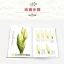 (Pre-order) หนังสือสอนระบายสีน้ำภาพดอกไม้แบบเหมือนจริง
