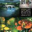 (Pre-order) หนังสือ YOSHIDA Seiji Art Works & Perspective Technique (Chinese Edition)