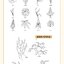 (Pre-order) หนังสือลายเส้นสเก็ตช์สีขาว-ดำ The Beauty of Flowers and Plants