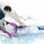 (Pre-order) Artbook Eno. color works "Anemone"