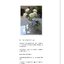 (Pre-order) หนังสือเทคนิคระบายสีน้ำของ Yuko Nagayama