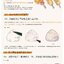 (Pre-order) หนังสือระบายสีน้ำ LIGHT COLOR PAINTING COURSES OF DELICACY