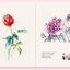 (Pre-order) หนังสือสอนระบายสีไม้ภาพดอกไม้ด้วยตัวเอง