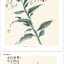 (Pre-order) หนังสือสอนวาดภาพสไตล์จีนแบบดั้งเดิมระดับเริ่มต้น