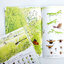 (Pre-order) หนังสือสารานุกรมภาพแมลง