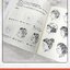 (ลดราคา-มีรอยจากการขนส่ง) หนังสือสเก็ตช์ภาพคาแรคเตอร์ระดับพื้นฐาน