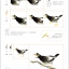 (Pre-order) หนังสือสอนวาดภาพสไตล์จีนโบราณ ใครๆก็สามารถวาดระดับเบสิคได้
