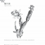 (Pre-order) หนังสือสอนวาดภาพขาว-ดำ รูปดอกไม้ Black and White Flowers เล่ม 4
