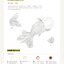 (Pre-order) หนังสือสอนระบายสีน้ำ GOLDFISH PAINTING
