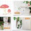 (Pre-order) หนังสือระบายสีไม้ภาพพืช