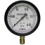 Common Pressure Gauge A Type :BL-AT3 / 8G 100 x 0.25MPa : TOKO